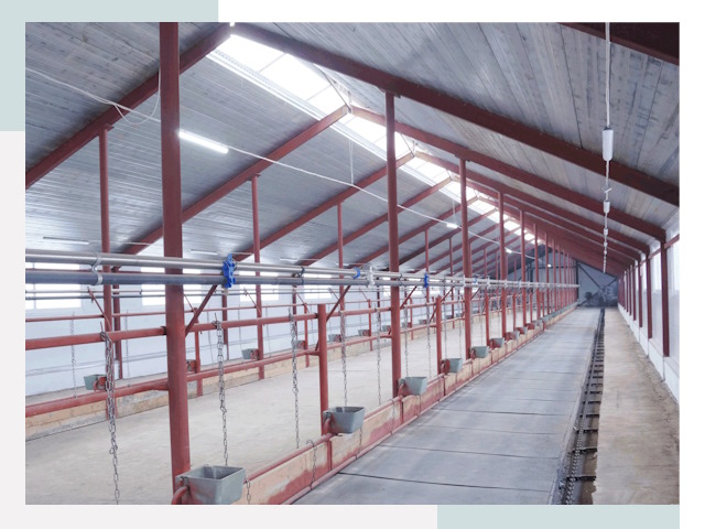 Строительство коровников в Казани от 637 руб.