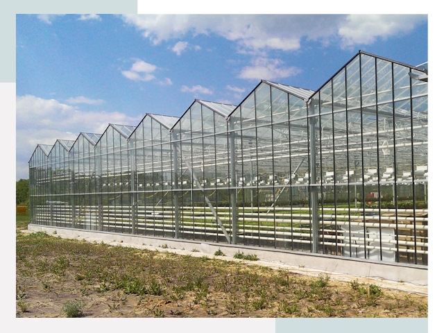 Строительство теплиц в Казань от 637 руб. за м²