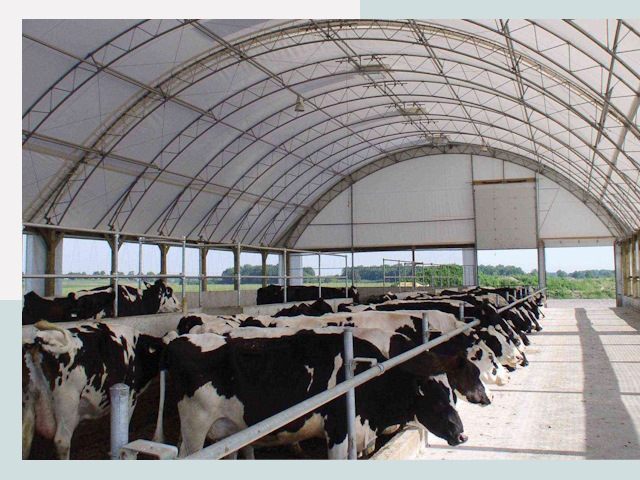 Тентовые коровники в Казани